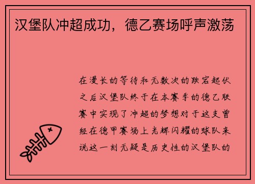 汉堡队冲超成功，德乙赛场呼声激荡
