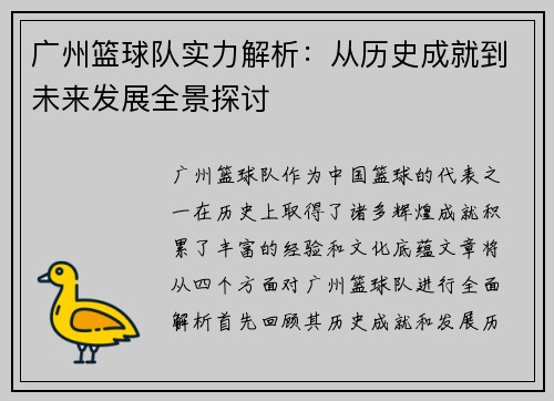 广州篮球队实力解析：从历史成就到未来发展全景探讨